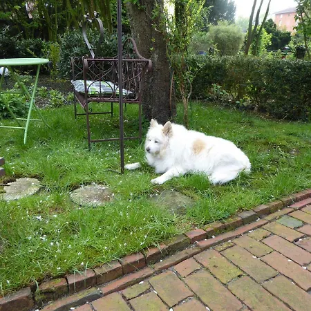 Großstrasse 18 B Apartment