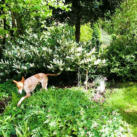 Grossstrasse 18 B Appartement Leer