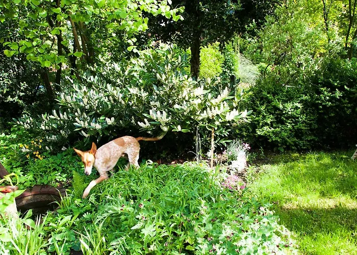 Grossstrasse 18 B Apartament Leer